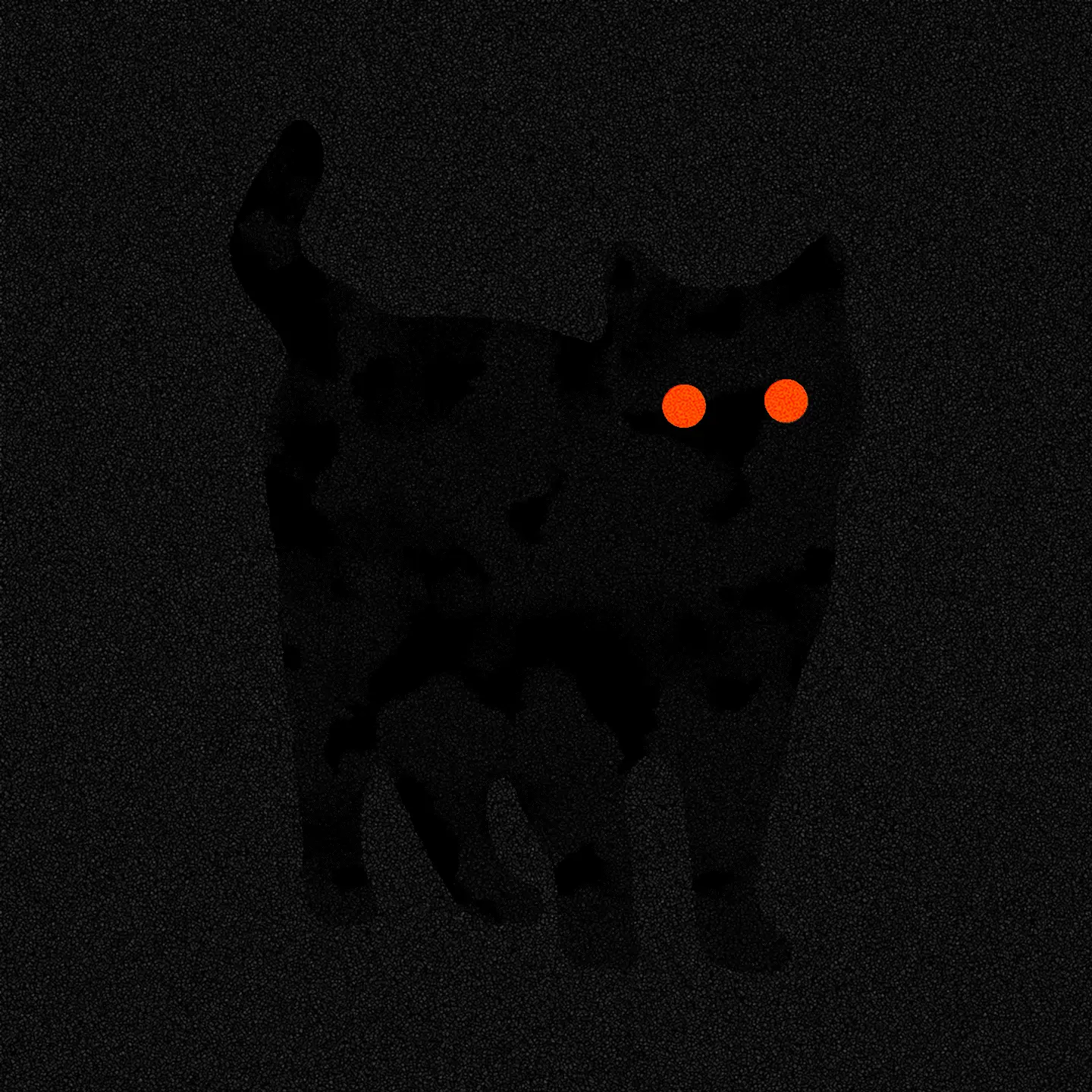 There Is No Cat